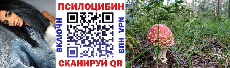 hydra маркетплейс Талица Галлюциногенные грибы мицелий